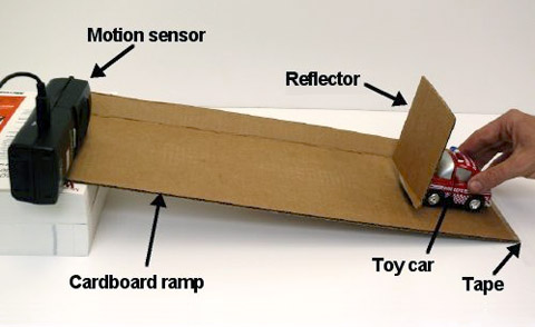 An illustration of the experimental procedure.