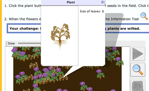 Investigate the details of each plant in the model by using the information tool.