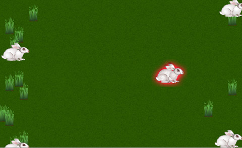 Experience competition first hand as they try to survive along with other rabbits.