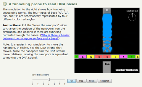 Find out which DNA base this probe reads by tunneling effects.