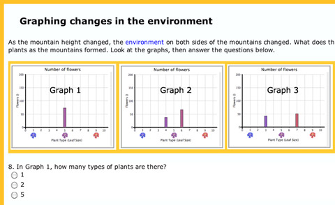 Understanding is checked and reinforced through a series of questions.