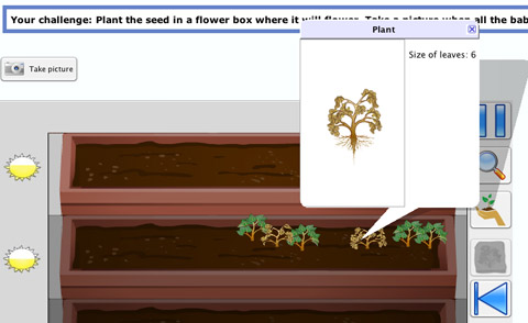 Inspect plants using the information tool to determine where the plants will grow best.