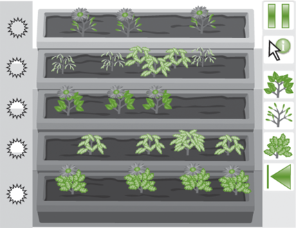 Activity One: The Virtual Greenhouse Activity One: The Virtual Greenhouse