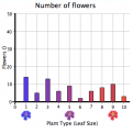 Mystery Plant Adaptation