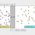 Gas Laws
