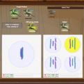 What is Meiosis?