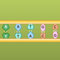 Mutations