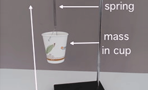 spring mass system experiment