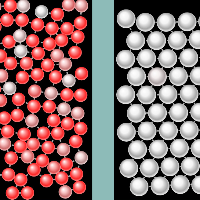 Molecular view of a gas concord consortium