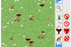 How Do Predator Prey Relationships Affect Natural Selection How Do Predator Prey Relationships Affect Natural Selection