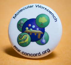 Molecular Workbench Button