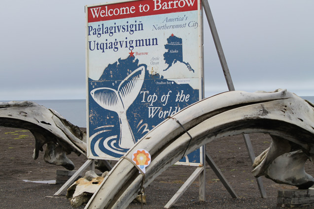 Science 340 Miles (567km) Above the Arctic Circle by Jan in Barrow, Alaska