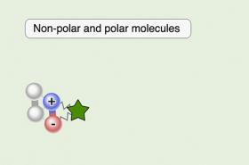Comparing Attractive Forces Between Molecules