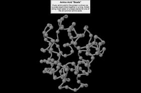 Exploring Protein 3D Structure