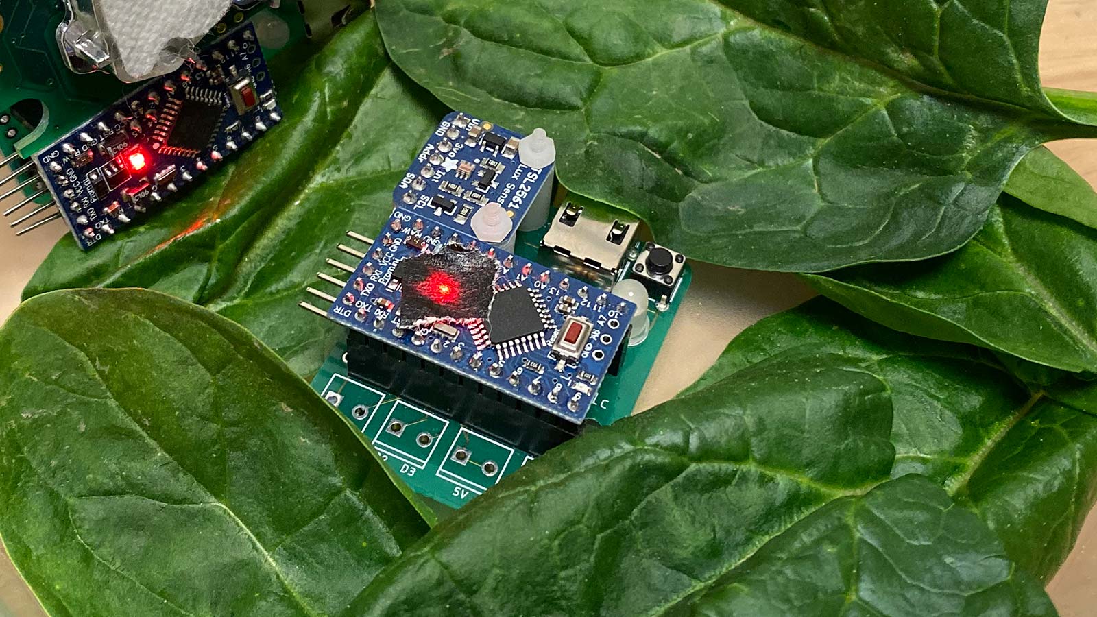 Sensors and Spinach