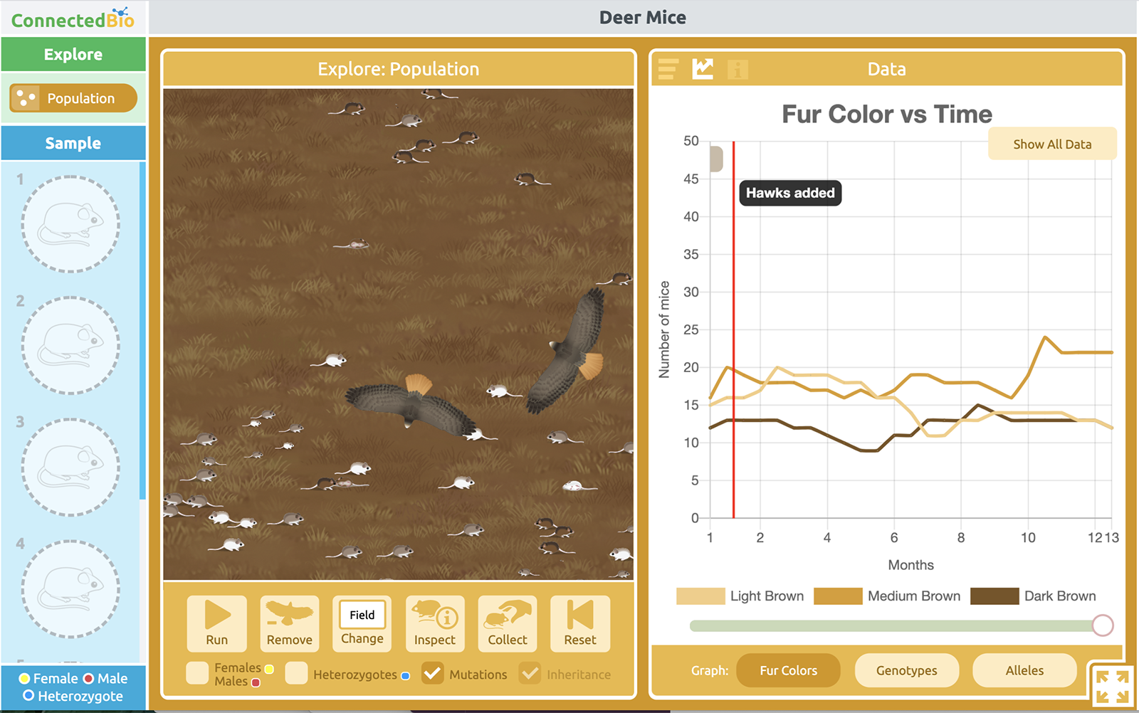 Short Connectedbio Lessons Teach About Adaptation Punnett Squares And More Concord Consortium