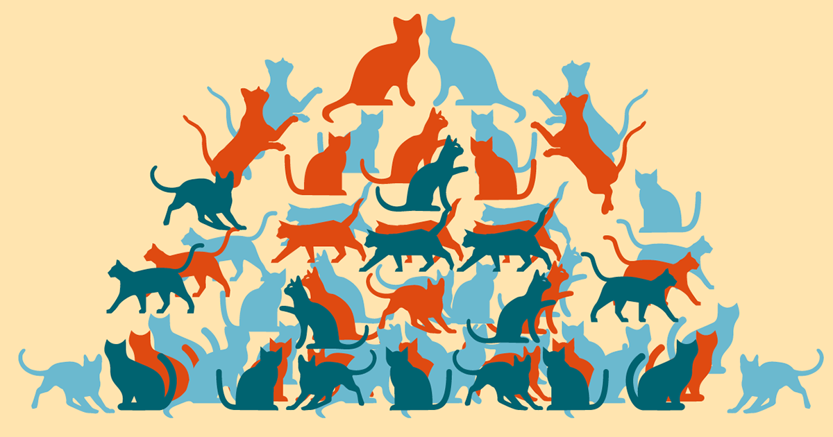 Poster of cats