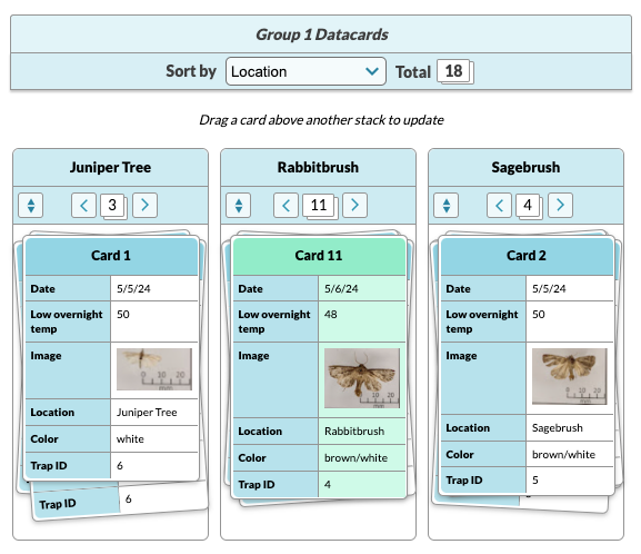 Capturing Moths and Studying Data Science