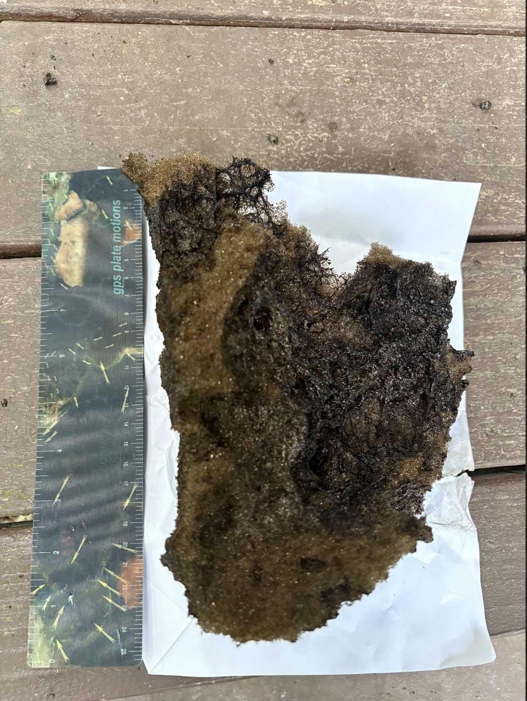A large piece of tephra