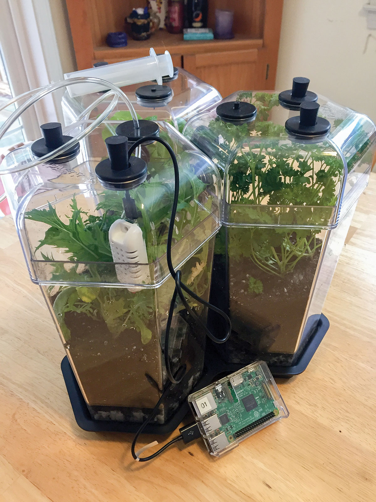 Growth chambers made by PASCO connect to a credit card sized Raspberry Pi computer