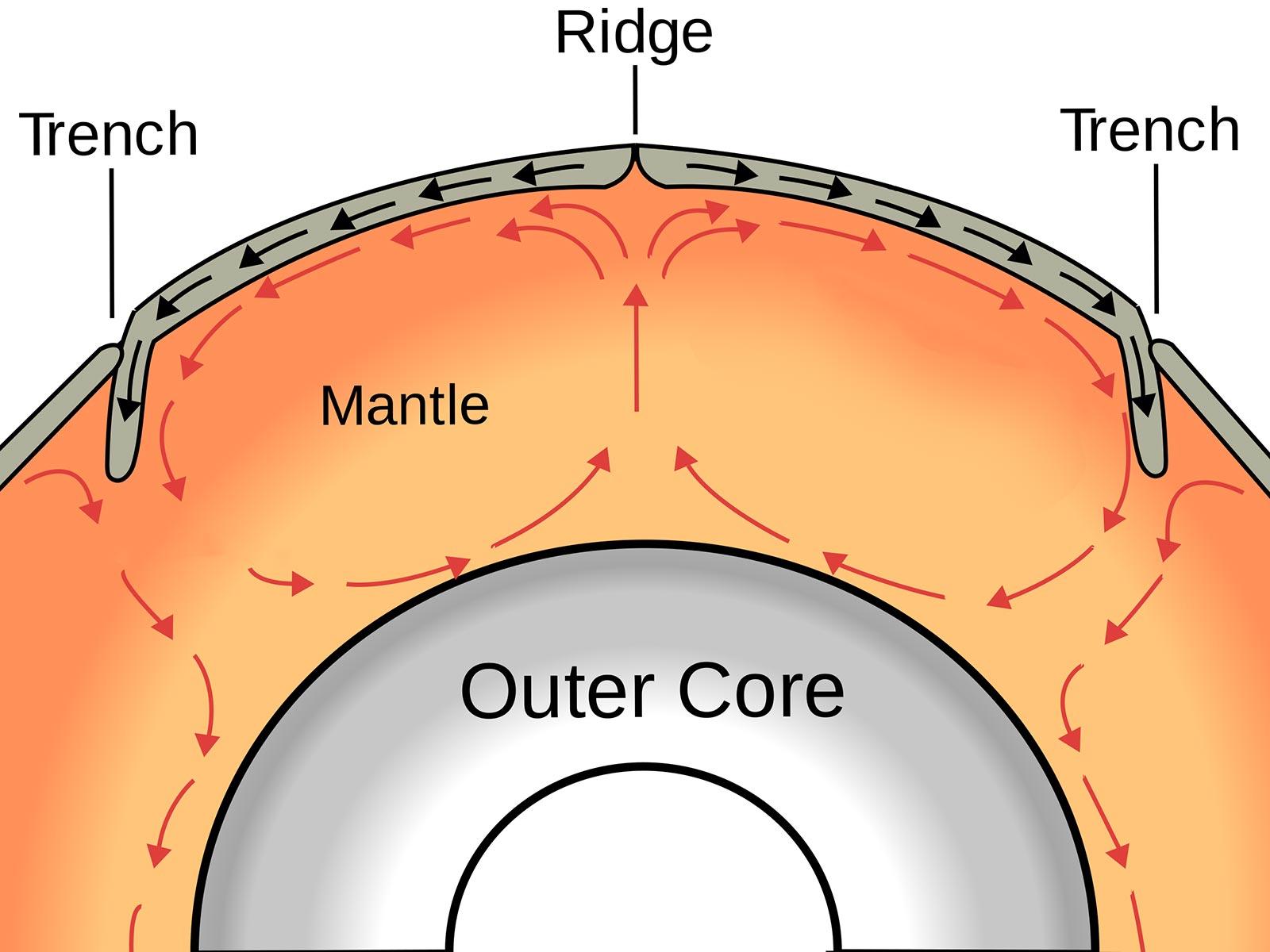 A diagram of how mantle convection drives the motion of Earth's plates
